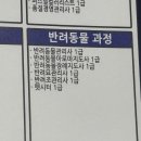 반려동물관리사 자격증 과정 | 한국교육검정원 반려동물관리사 자격증 취득 후기ㅣ온라인 무료 수강부터 시험까지 정리
