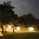 소야 솔밭 이미지