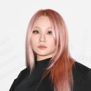 씨엘아이피