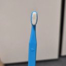 두리동물병원 | 잇몸 자극 없는 소형 반려동물 칫솔 바이플라그 내돈내산 실사용 후기