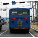 버스정류소_동부보건소 이미지