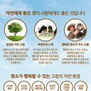 상하하늘목장 이미지