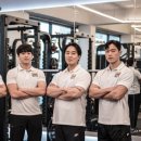 유엘피티 이미지