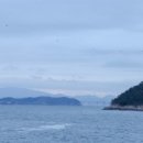 프리펜션