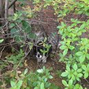 제이케이물산 | 거북이는 의외로 빨리 헤엄친다 짧은 후기 | 구디 걸작 떡볶이 | 더제이케이키친 | 도미라 마라샹궈 추천!