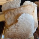 박사행정사 이미지