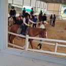 교하운정스카이승마장 이미지