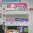 개나리약국 이미지