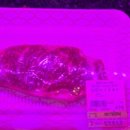 다하누옛날불고기 | [송도 맛집] 다하누 송도데이트 주차