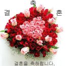 임*경 이미지