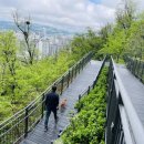 응봉공원2 이미지