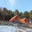 치악산둘레길 9코스 자작나무길 이미지