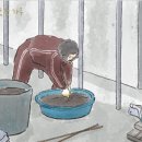 자미 이미지