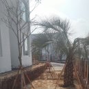 제주스타공인중개사사무소 이미지