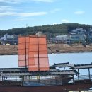 황포돛배 선착장 이미지