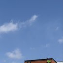 동상건강원 | 라라라