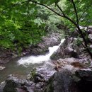 밀레 군산영동점 이미지