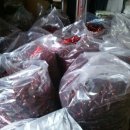 철원농장 이미지