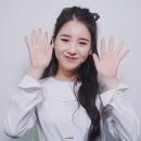 솜이랑 이미지
