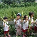 학익마을 이미지