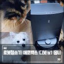 엠티스 | 강아지털제거 고양이털청소기에 딱! 물걸레 로봇청소기 에코백스 디봇 T9+ (ft. 케이펫페어 할인정보)