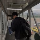 베또롱 | 제주도 숙소 추천 - 하도베또롱 / 하도정 / 취다선 리조트