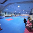 무혼 태권도 이미지