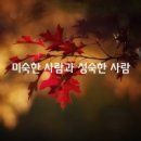 미숙한 Daum카페