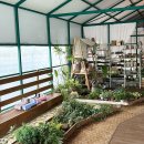 청춘농원 이미지