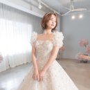 미카벨라 이미지