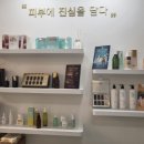 뷰티호텔 이매점