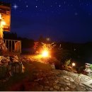 돌배나무 세그루 이미지