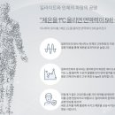 수목토일라이트예산 이미지