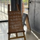 보롬왓 입장료 카페 주차장 실내정원 포토존 수국정원 메밀밭 방문 후기