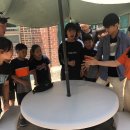 용인대 동아태권도장 이미지