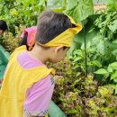 보람유치원 이미지