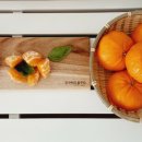 노란농수산