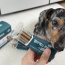 신진덴탈 이미지