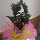 광안센터약국 이미지