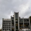 제주 한라수목원 포도원흑돼지 소갈비탕 포장 구매후기
