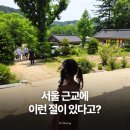 서울 근교 절 찾는다면?아이와 다녀온 남양주 봉선사 가족 나들이 후기