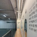 [내돈내산] 사당역 써티올 테니스 1년 다닌 솔직후기! 테린이 탈출기(?)🎾