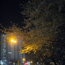 미룡로 | [군산] 주나곱창 / 연탄구이 돼지곱창, 냉삼