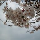 세천체육공원 테니스장 Daum카페