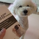 못된강아지 | 라이펫 진정성 강아지 호흡기 영양제 체험중입니다~