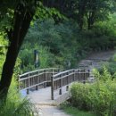 우면산 (서초약수터) 이미지