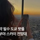 오렌지여행사주 이미지
