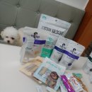 트릿츄잇 이미지