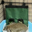 곰이밥통