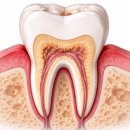 바른이안치과의원 이미지